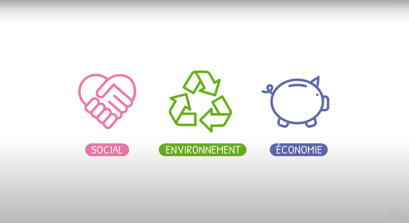 Ankama_environnement